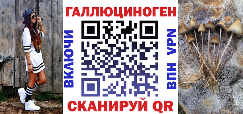 Купить  Южноуральск  Галлюциногенные грибы Psilocybine cubensis 